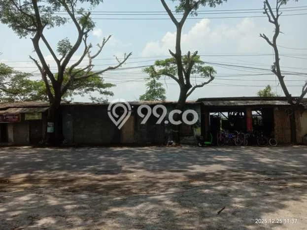 Tanah Kavling untuk Dijual di Rajeg Tangerang 3000m2 Tanah Kavling untuk Dijual di Rajeg Tangerang 3000m2