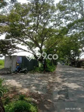 Tanah Kavling untuk Dijual di Rajeg Tangerang 3000m2 Tanah Kavling untuk Dijual di Rajeg Tangerang 3000m2