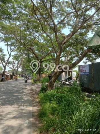 Tanah Kavling untuk Dijual di Rajeg Tangerang 3000m2 Tanah Kavling untuk Dijual di Rajeg Tangerang 3000m2