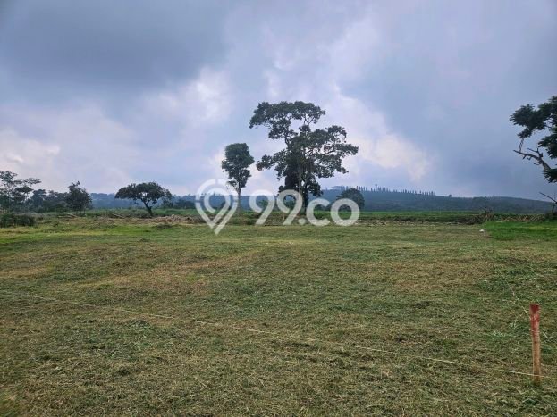 Tanah Dijual Lokasi Cisarua, Bogor Luas 733m2 Legalitas Aman Tanah Dijual Lokasi Cisarua, Bogor Luas 733m2 Legalitas Aman