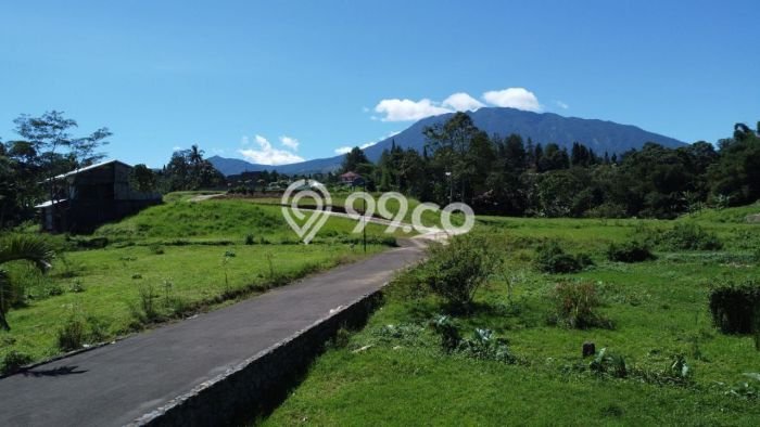 Lahan Kosong Dijual di Megamendung, Bogor, Luas 1000m2 Area Strategis Lahan Kosong Dijual di Megamendung, Bogor, Luas 1000m2 Area Strategis