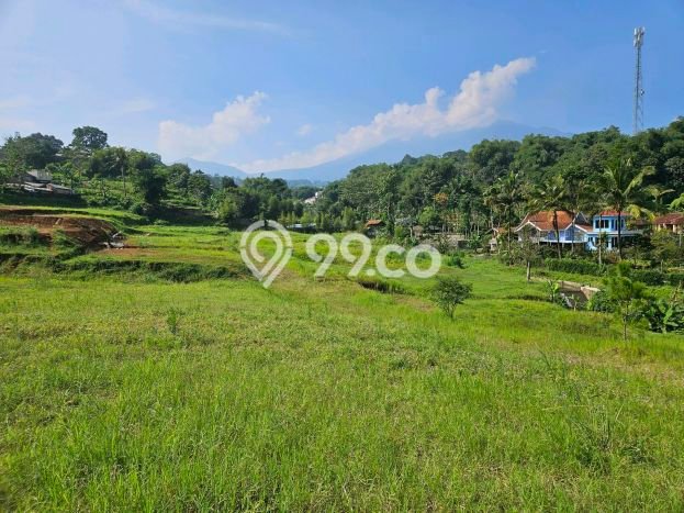 Tanah untuk Dijual Lokasi Cisarua, Bogor Luas 400m2 SHM Tanah untuk Dijual Lokasi Cisarua, Bogor Luas 400m2 SHM