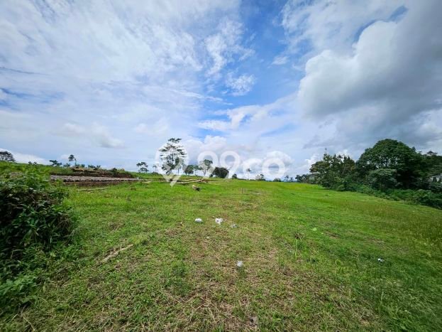 Tanah Strategis Dijual di Cisarua Bogor 545m2 Tanah Strategis Dijual di Cisarua Bogor 545m2