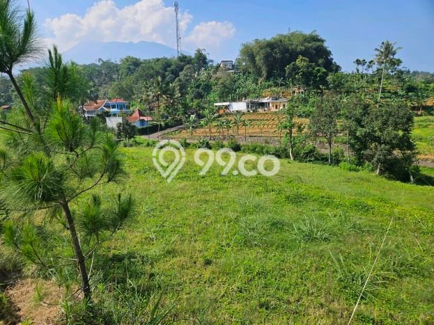 Lahan Dijual Lokasi Cisarua, Bogor dengan Luas Tanah 500m2 dan Status SHM Lahan Dijual Lokasi Cisarua, Bogor dengan Luas Tanah 500m2 dan Status SHM