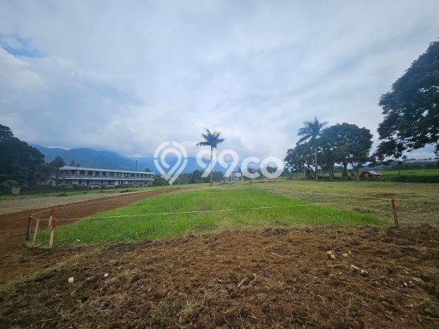 Tanah untuk Dijual Lokasi Cisarua, Bogor Luas 195m2 - Tanah untuk Dijual Lokasi Cisarua, Bogor Luas 195m2 -