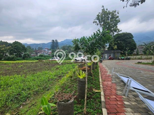 Kavling Tanah untuk Dijual di Puncak, Bogor, Luas 1000m2 Kavling Tanah untuk Dijual di Puncak, Bogor, Luas 1000m2