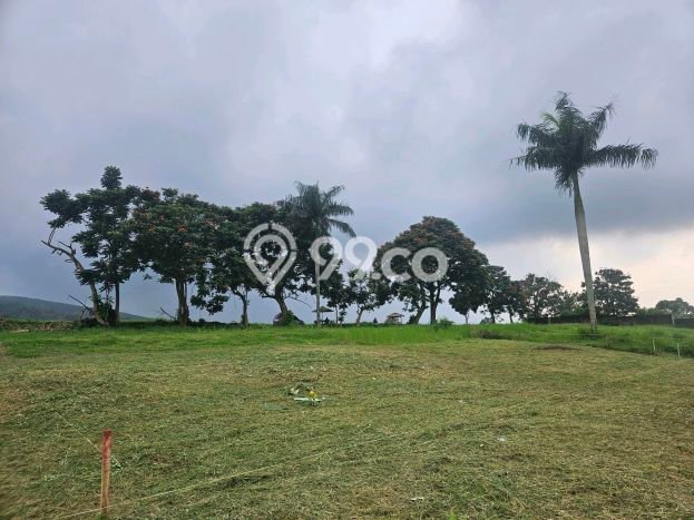 Kavling Tanah di Cisarua Dijual Luas 1000m2 Legalitas - Kavling Tanah di Cisarua Dijual Luas 1000m2 Legalitas -