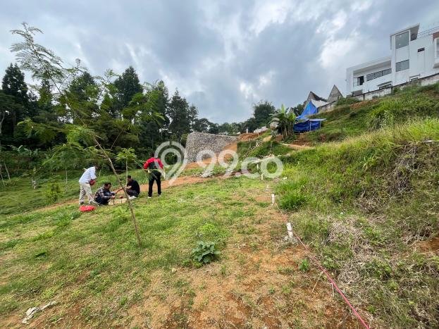 Tanah Area Potensial di Megamendung, Luas 400m2m², Lingkungan Nyaman, Akses Megamendung, Bogor, Bogor Tanah Area Potensial di Megamendung, Luas 400m2m², Lingkungan Nyaman, Akses Megamendung, Bogor, Bogor