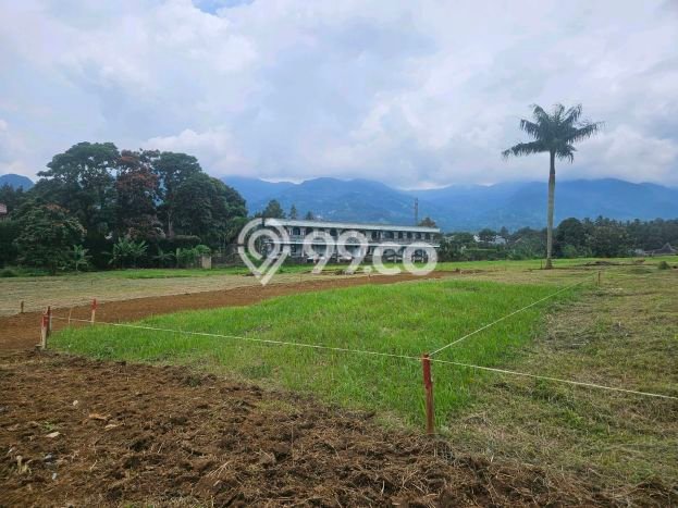 Tanah untuk Dijual Lokasi Cisarua, Bogor Luas 195m2 - Tanah untuk Dijual Lokasi Cisarua, Bogor Luas 195m2 -