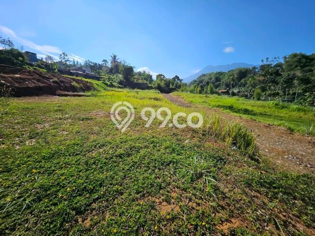 Tanah Kavling Dijual di Bogor dengan Spesifikasi 500m2 Tanah Kavling Dijual di Bogor dengan Spesifikasi 500m2