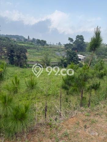 Tanah Area Prospektif Kawasan Cisarua, Luas 950m2m², Akses ke Fasilitas Tanah Area Prospektif Kawasan Cisarua, Luas 950m2m², Akses ke Fasilitas