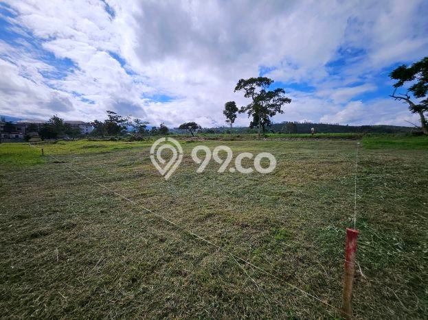 Tanah Siap Bangun Dijual di Bogor Punya Luas 700m2 Tanah Siap Bangun Dijual di Bogor Punya Luas 700m2