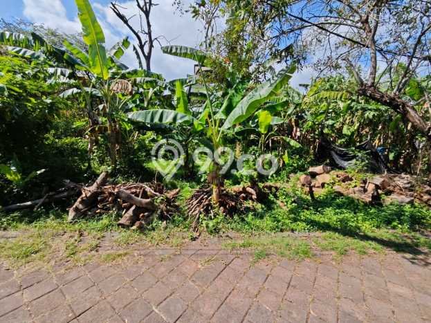 Tanah Kavling Dijual di Badung dengan Spesifikasi 296m2 Tanah Kavling Dijual di Badung dengan Spesifikasi 296m2