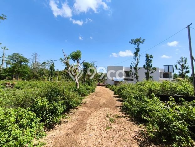 Tanah Investasi Dijual di Badung Punya Luas 300m2 Tanah Investasi Dijual di Badung Punya Luas 300m2