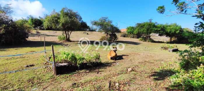 Tanah Kavling Dijual di Badung dengan Spesifikasi 800m2 Tanah Kavling Dijual di Badung dengan Spesifikasi 800m2