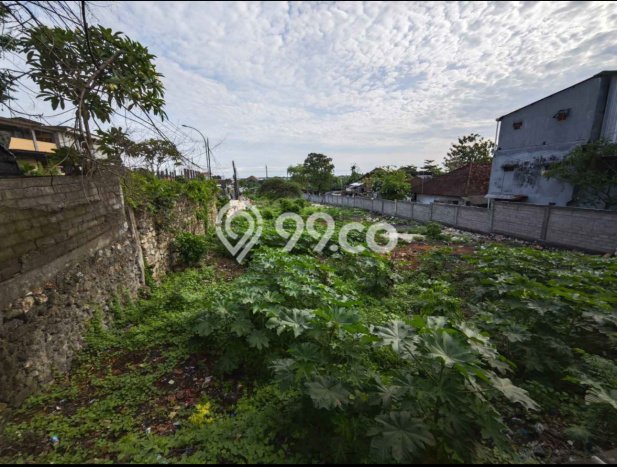 Tanah Siap Bangun Dijual di Badung Punya Luas 3450m2 Tanah Siap Bangun Dijual di Badung Punya Luas 3450m2