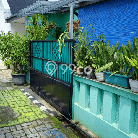 Jual Rumah Minimalis Bagus Punya 2 KT di Bojong Gede Bogor SHM Jual Rumah Minimalis Bagus Punya 2 KT di Bojong Gede Bogor SHM