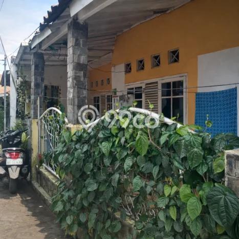Hunian Murah Dijual di Bogor Barat, Bogor Harga Rp 250 Juta Hunian Murah Dijual di Bogor Barat, Bogor Harga Rp 250 Juta