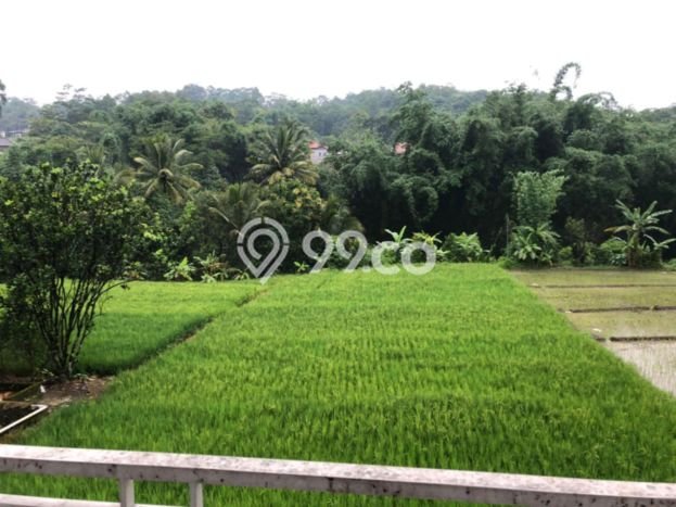 Rumah Luas Asri 3 KT Siap Huni di Majalengka Kota Majalengka Rumah Luas Asri 3 KT Siap Huni di Majalengka Kota Majalengka