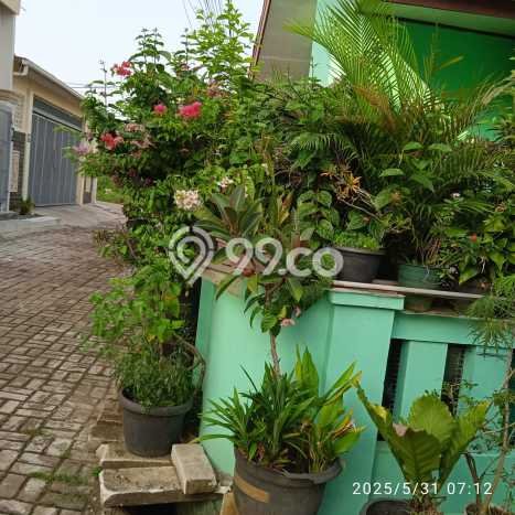 Jual Rumah Minimalis Bagus Punya 2 KT di Bojong Gede Bogor SHM Jual Rumah Minimalis Bagus Punya 2 KT di Bojong Gede Bogor SHM