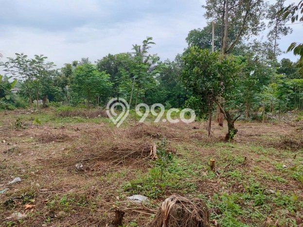Kavling Tanah Dijual di Citeureup Bogor Spesifikasi 9000m2 Kavling Tanah Dijual di Citeureup Bogor Spesifikasi 9000m2