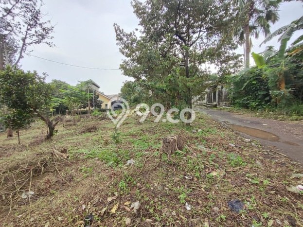 Kavling Tanah Dijual di Citeureup Bogor Spesifikasi 9000m2 Kavling Tanah Dijual di Citeureup Bogor Spesifikasi 9000m2
