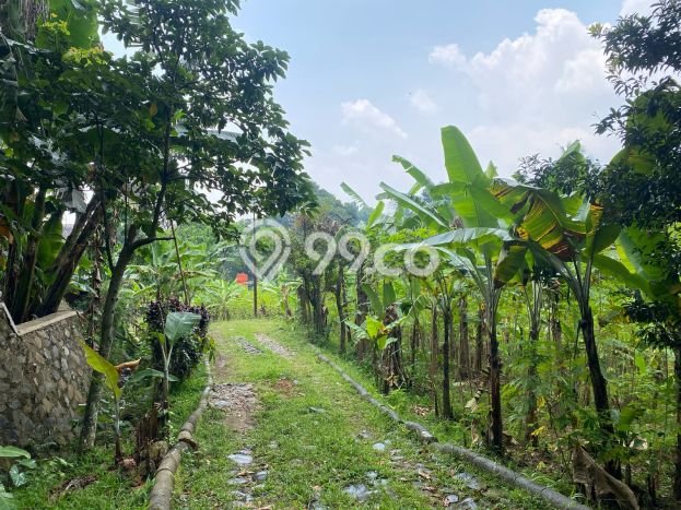 Lahan Dijual Lokasi Sentul City, Bogor dengan Luas Tanah 13000m2 dan Status SHM Lahan Dijual Lokasi Sentul City, Bogor dengan Luas Tanah 13000m2 dan Status SHM