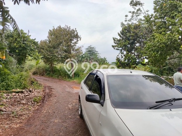 Kavling Tanah Dijual di Citeureup Bogor Spesifikasi 9000m2 Kavling Tanah Dijual di Citeureup Bogor Spesifikasi 9000m2