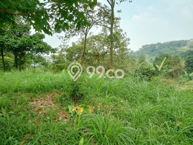 Lahan Strategis di Cijeruk Dijual dengan Luas 2400m2 Lahan Strategis di Cijeruk Dijual dengan Luas 2400m2