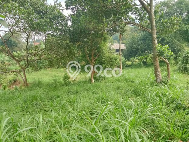 Lahan Strategis di Cijeruk Dijual dengan Luas 2400m2 Lahan Strategis di Cijeruk Dijual dengan Luas 2400m2