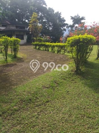Tanah Dijual Lokasi Sukaraja, Bogor Luas 12000m2 Legalitas Aman Tanah Dijual Lokasi Sukaraja, Bogor Luas 12000m2 Legalitas Aman