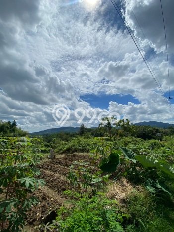Tanah Dijual Lokasi Sukamakmur, Bogor Luas 440m2 Legalitas Aman Tanah Dijual Lokasi Sukamakmur, Bogor Luas 440m2 Legalitas Aman