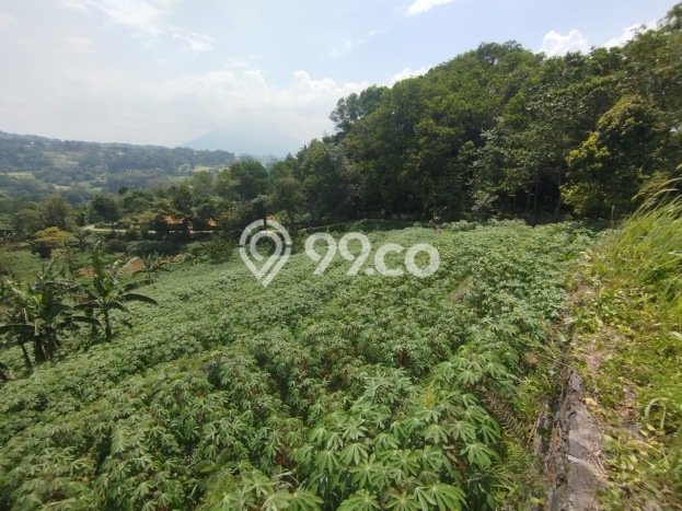 Tanah Kavling Dijual di Bogor dengan Spesifikasi 4000m2 Tanah Kavling Dijual di Bogor dengan Spesifikasi 4000m2