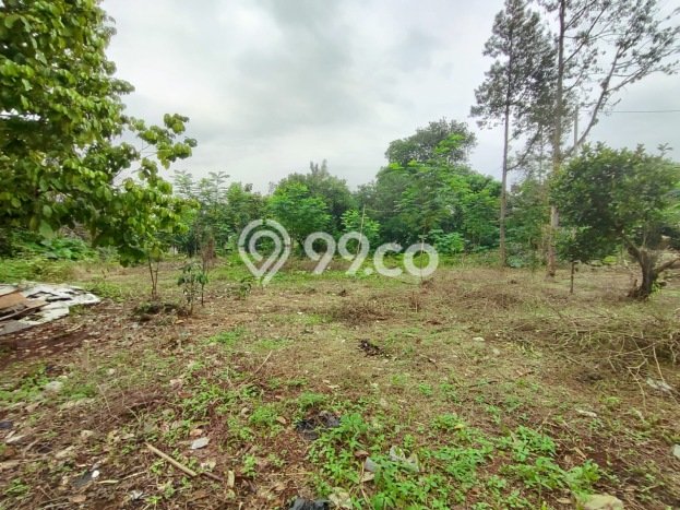Kavling Tanah Dijual di Citeureup Bogor Spesifikasi 9000m2 Kavling Tanah Dijual di Citeureup Bogor Spesifikasi 9000m2