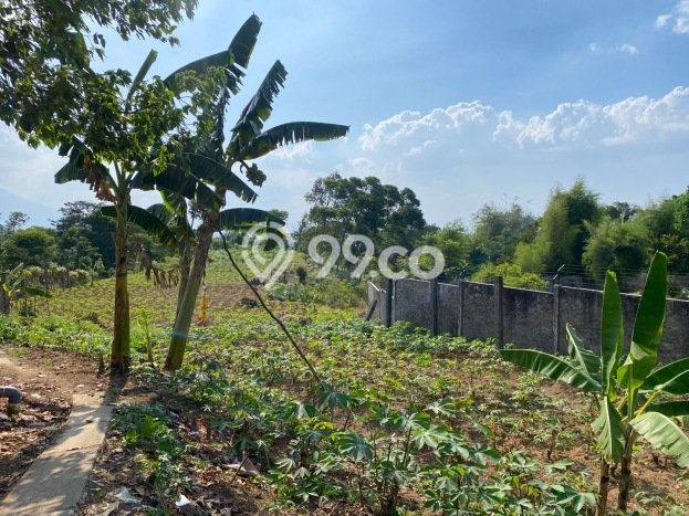 Dijual Tanah 8190m2 di Cijayanti, Bogor Dijual Tanah 8190m2 di Cijayanti, Bogor