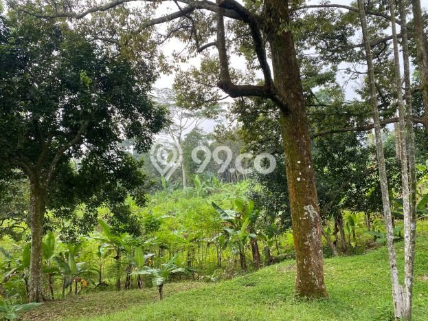 Lahan Dijual Lokasi Sentul City, Bogor dengan Luas Tanah 13000m2 dan Status SHM Lahan Dijual Lokasi Sentul City, Bogor dengan Luas Tanah 13000m2 dan Status SHM