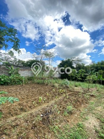 Tanah Dijual Lokasi Sukamakmur, Bogor Luas 440m2 Legalitas Aman Tanah Dijual Lokasi Sukamakmur, Bogor Luas 440m2 Legalitas Aman
