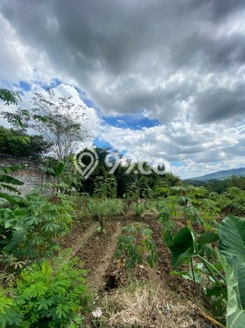 Tanah Dijual Lokasi Sukamakmur, Bogor Luas 440m2 Legalitas Aman Tanah Dijual Lokasi Sukamakmur, Bogor Luas 440m2 Legalitas Aman