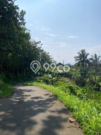 Kavling Tanah Dijual di Cijeruk Bogor Spesifikasi 5800m2 Kavling Tanah Dijual di Cijeruk Bogor Spesifikasi 5800m2