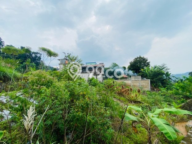 Tanah Kavling di Sukaraja Dijual dengan Luas 1521m2 Tanah Kavling di Sukaraja Dijual dengan Luas 1521m2