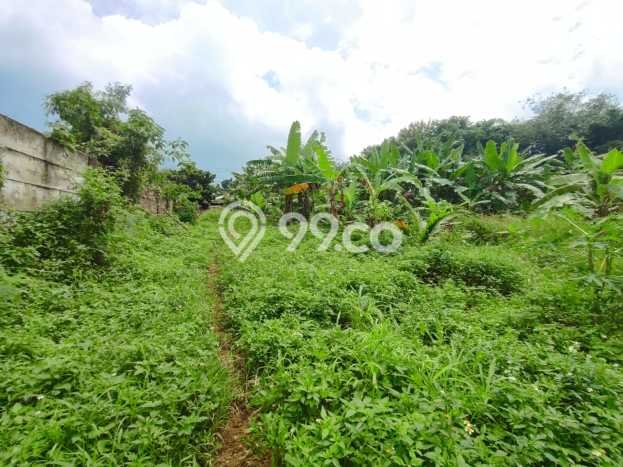 Tanah Komersial Dijual di Babakan Madang Bogor 23000m2 Tanah Komersial Dijual di Babakan Madang Bogor 23000m2