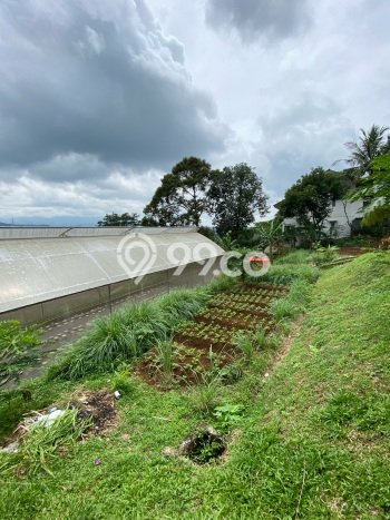Vila Berkembang Kawasan Sukaraja, Area 5020m2m², Area Asri Vila Berkembang Kawasan Sukaraja, Area 5020m2m², Area Asri