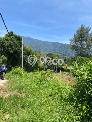 Lahan Investasi Lokasi Cigombong Bogor - Lahan Investasi Lokasi Cigombong Bogor -
