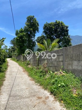 Kavling Tanah Dijual di Cigombong Bogor Spesifikasi 5600m2 Kavling Tanah Dijual di Cigombong Bogor Spesifikasi 5600m2