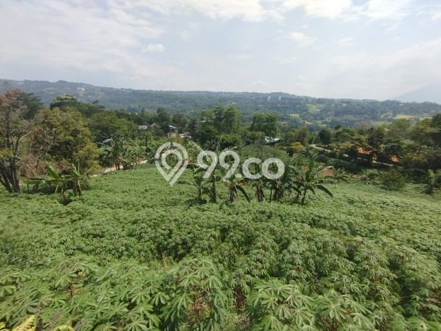 Tanah Kavling Dijual di Bogor dengan Spesifikasi 4000m2 Tanah Kavling Dijual di Bogor dengan Spesifikasi 4000m2