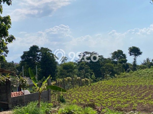 Dijual Tanah 8190m2 di Cijayanti, Bogor Dijual Tanah 8190m2 di Cijayanti, Bogor