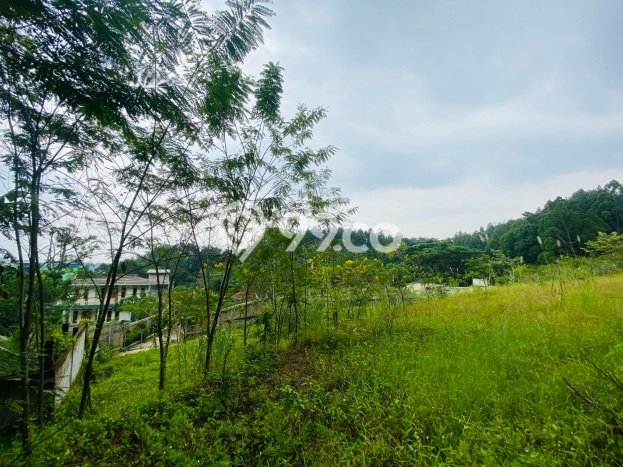 Lahan Investasi Lokasi Sukaraja Bogor SHM Lahan Investasi Lokasi Sukaraja Bogor SHM