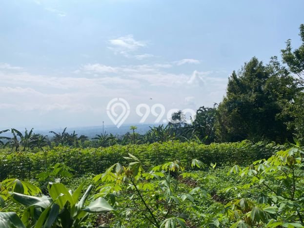 Kavling Tanah Dijual di Cijeruk Bogor Spesifikasi 5800m2 Kavling Tanah Dijual di Cijeruk Bogor Spesifikasi 5800m2