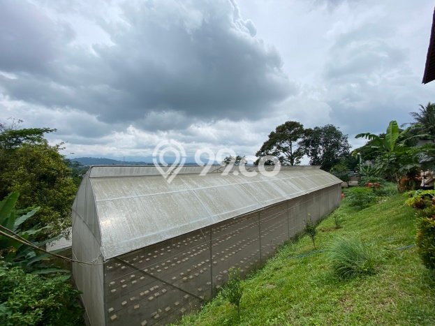 Vila Berkembang Kawasan Sukaraja, Area 5020m2m², Area Asri Vila Berkembang Kawasan Sukaraja, Area 5020m2m², Area Asri