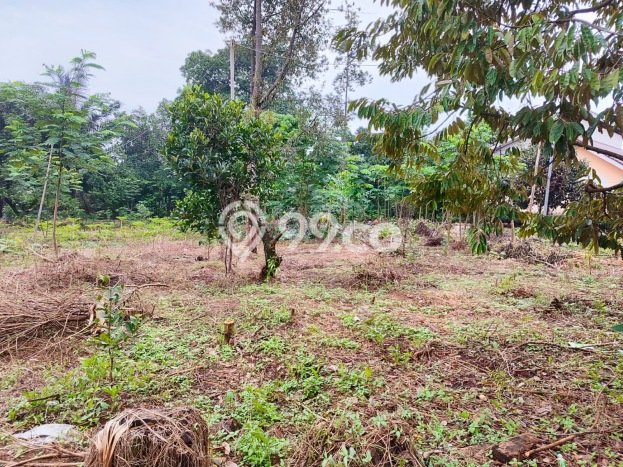 Kavling Tanah Dijual di Citeureup Bogor Spesifikasi 9000m2 Kavling Tanah Dijual di Citeureup Bogor Spesifikasi 9000m2